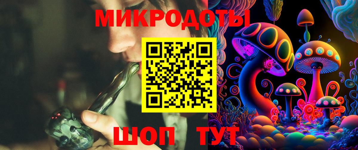 Псилоцибиновые грибы Psilocybe  Псилоцибиновые грибы прущие грибы  Артём  Вход с VPN 