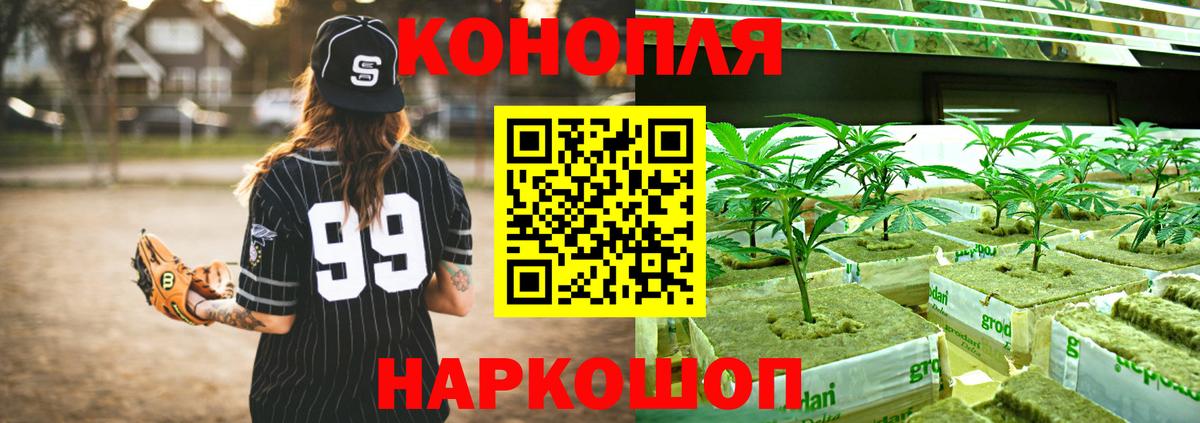Шишки марихуана MAZAR  Вход с VPN  Бошки марихуана Bruce Banner  Шишки марихуана планчик  Артём 